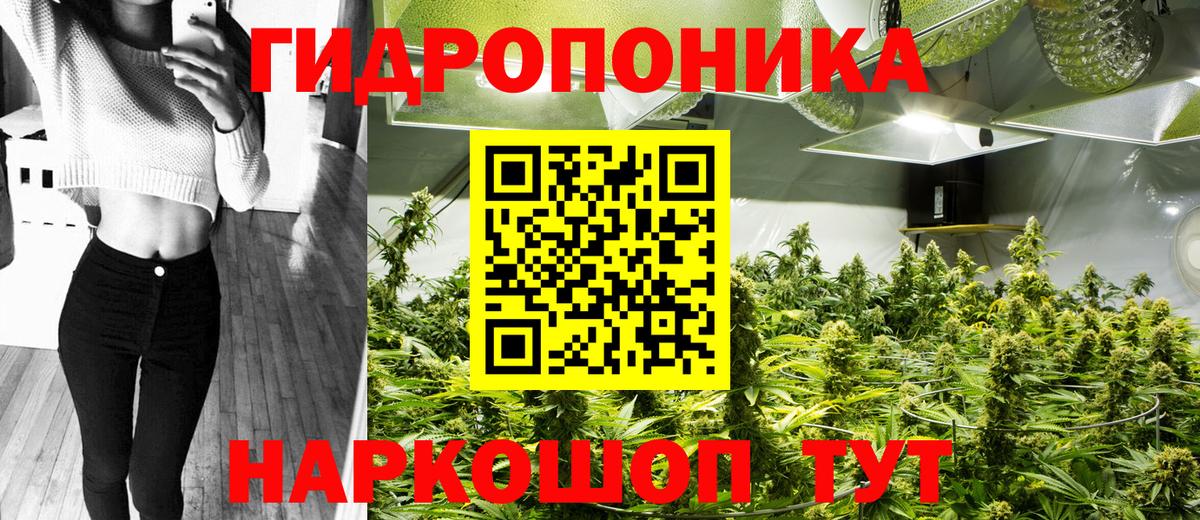 Бошки Шишки White Widow  Вход с VPN  Марихуана White Widow  Будённовск  Каннабис конопля 