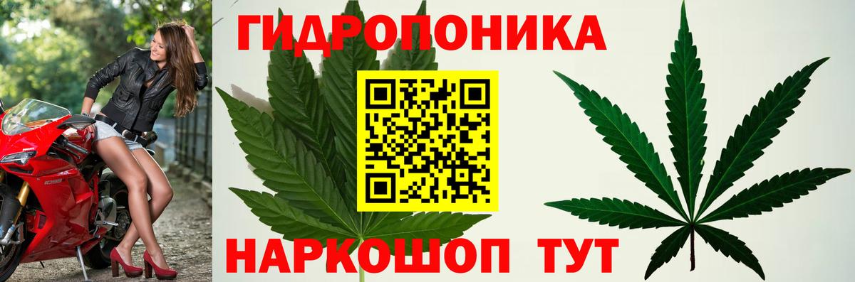 Каннабис THC 21% Будённовск